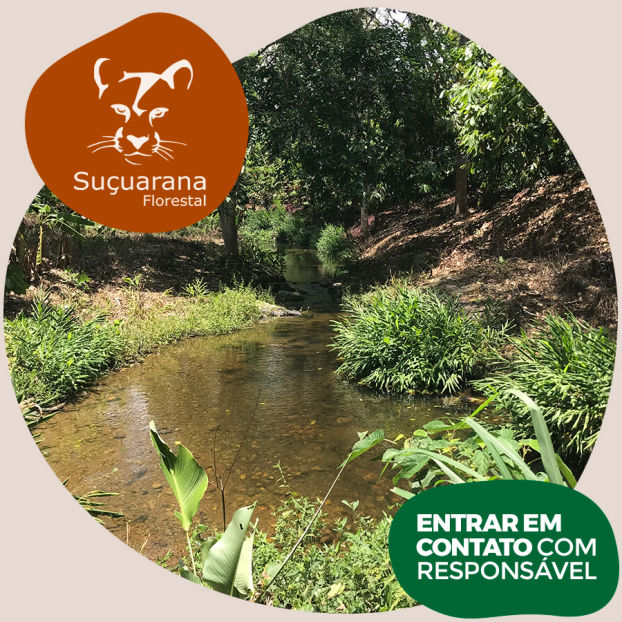 Consultoria e Projetos - Suçuarana Florestal