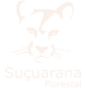 Suçuarana Florestal