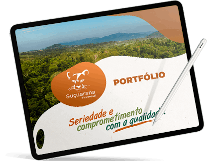 Portfolio Suçuarana